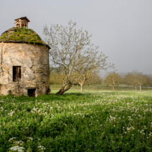 2-Pigeonnier© P. Soissons-Tourisme Aveyron-150