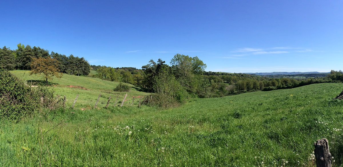 PETR Haut Rouergue paysage noeud fertile